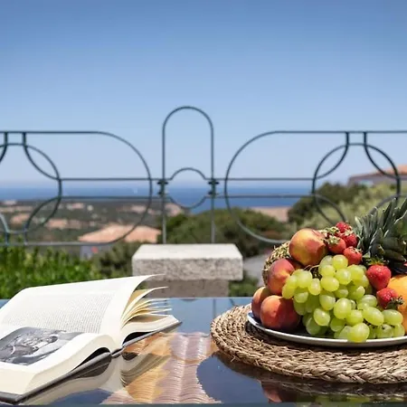 Villa Sea View In Porto Cervo, Private Pool And Garden